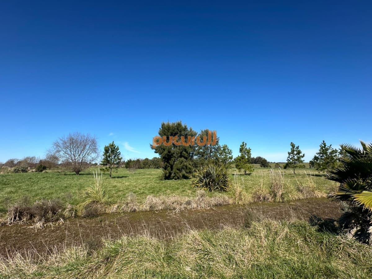 VENTA CHACRA RUTA 104