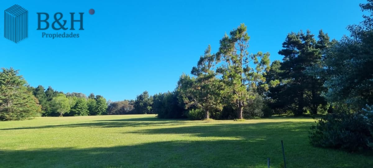 Chacra soñada en José Ignacio