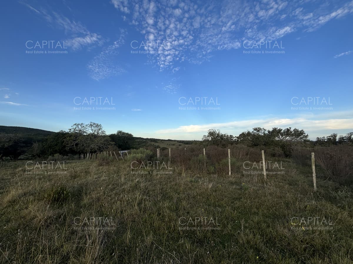 Oportunidad, Chacra en venta Pueblo Garzón (Frente a Bodega Garzón)