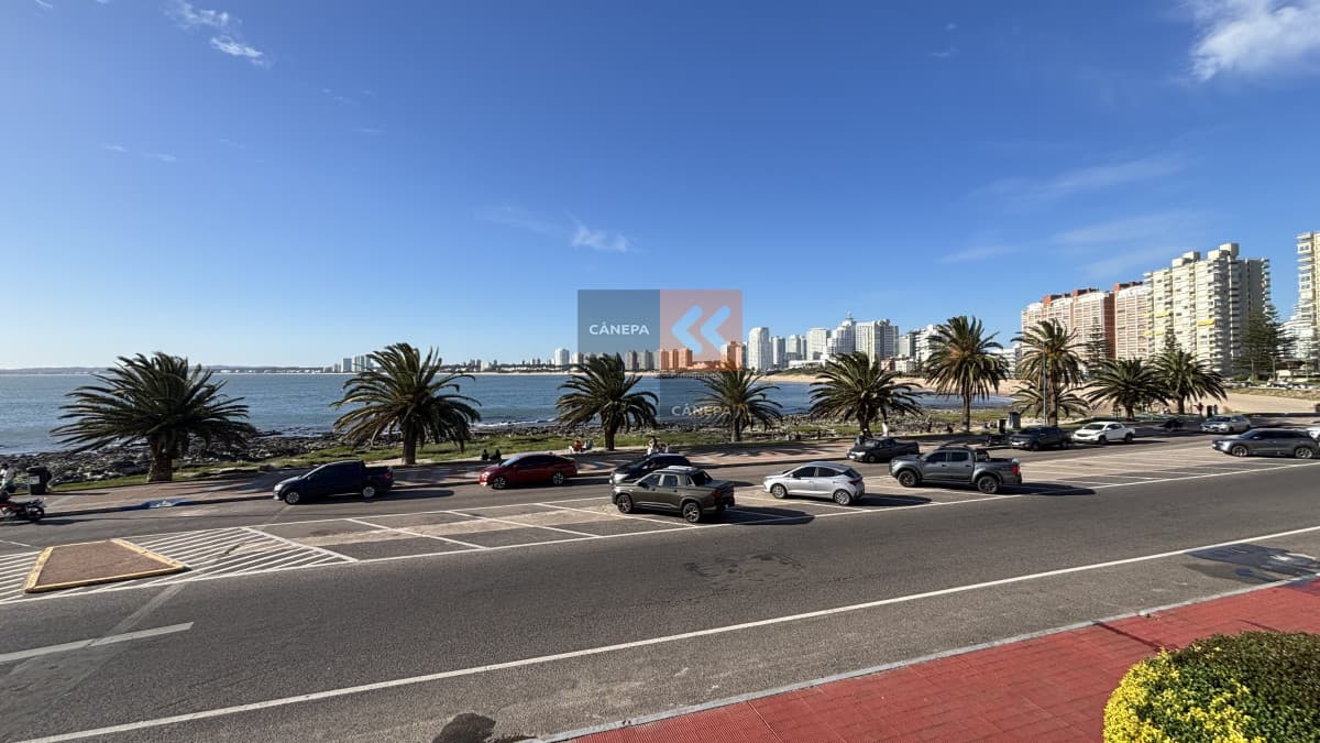 Apartamento con vista directa a la mansa