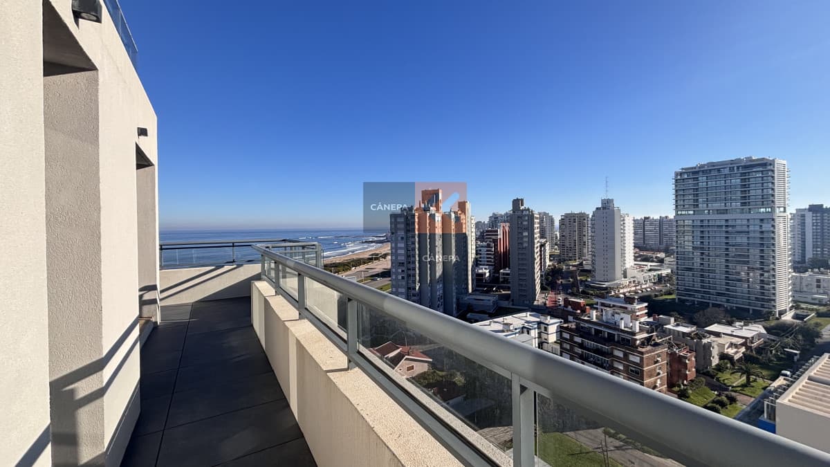 Todos los apartamentos poseen una cuidada espacialidad y diseño.