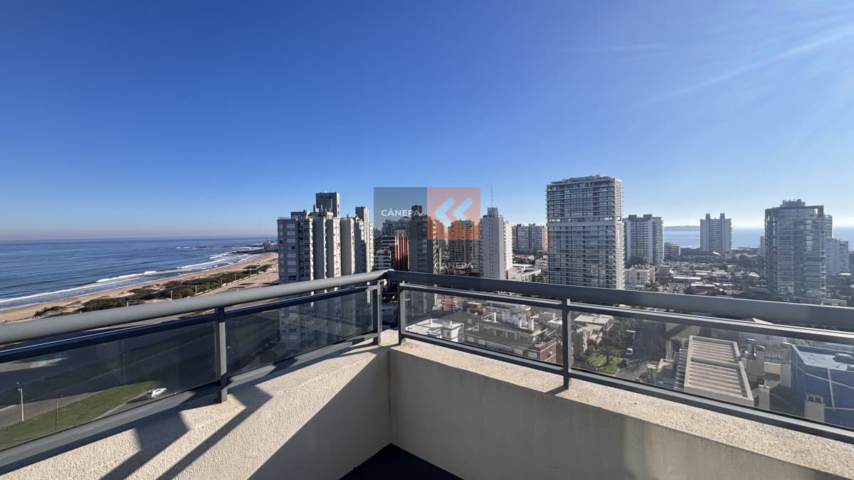 Todos los apartamentos poseen una cuidada espacialidad y diseño.