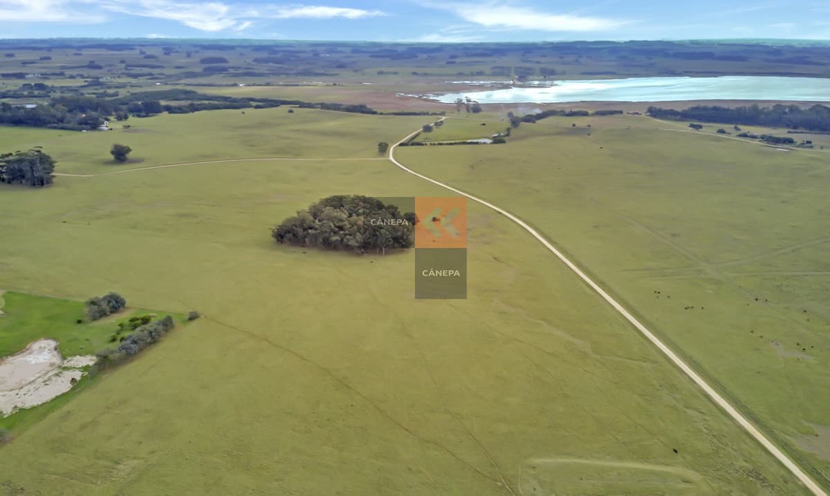 Chacra en José Ignacio a la venta en el mejor lugar y con excelente vista!