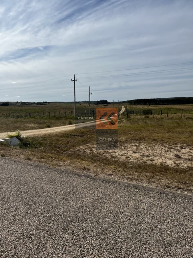 Campo en venta en Garzón