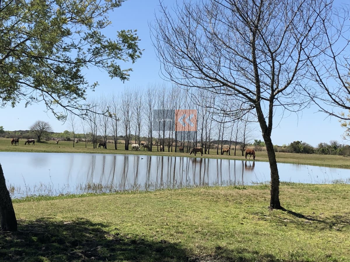 Chacra de 5has en barrio privado