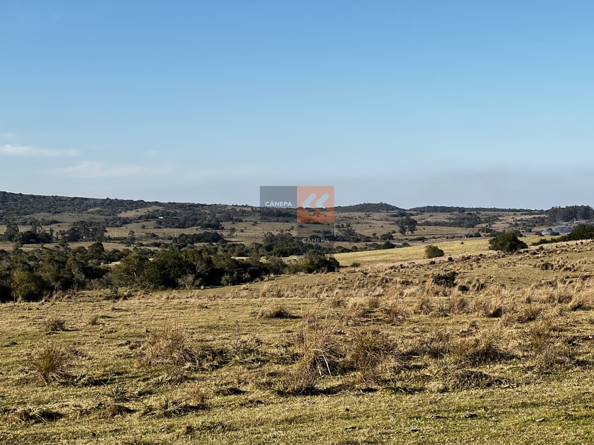 Chacra en Garzón a la venta a 5 kmts del Pueblo y a 30 kmts de José Ignacio
