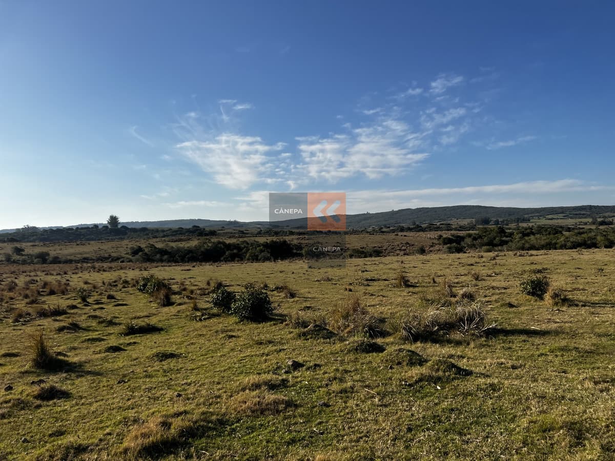 Chacra en Garzón a la venta a 5 kmts del Pueblo y a 30 kmts de José Ignacio