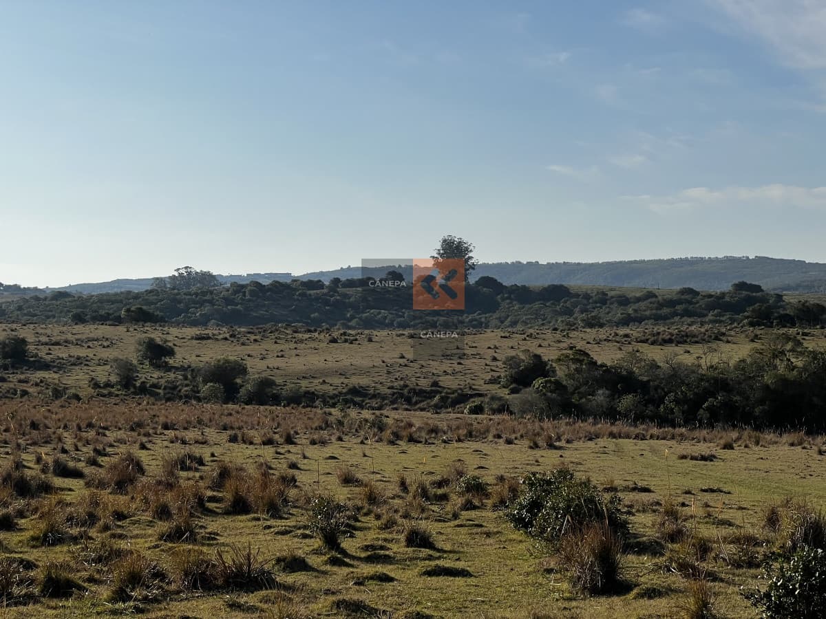Precio especial Chacra en Garzón