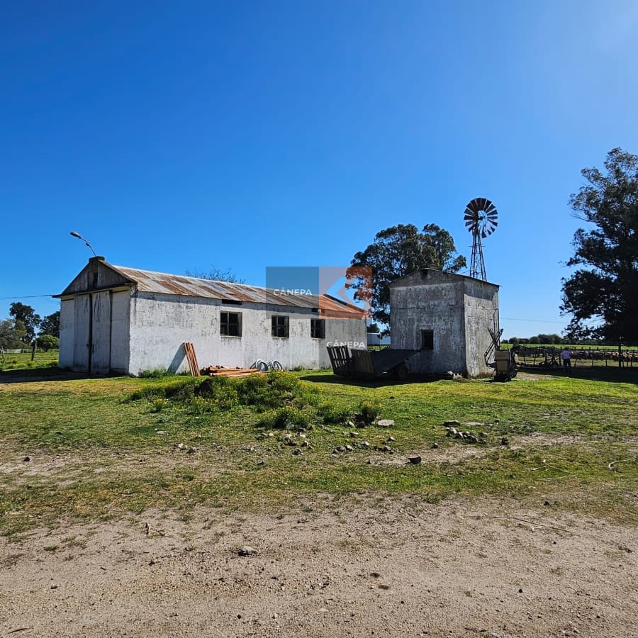 Excepcional campo Agrícola ganadero en San José