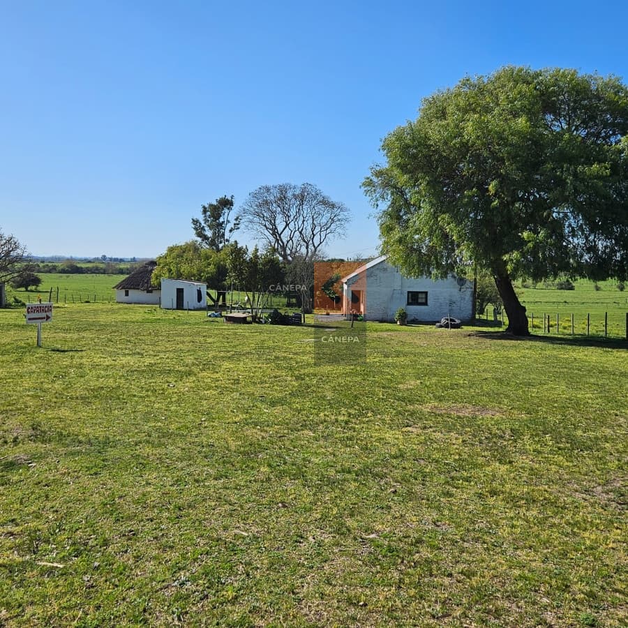 Excepcional campo Agrícola ganadero en San José