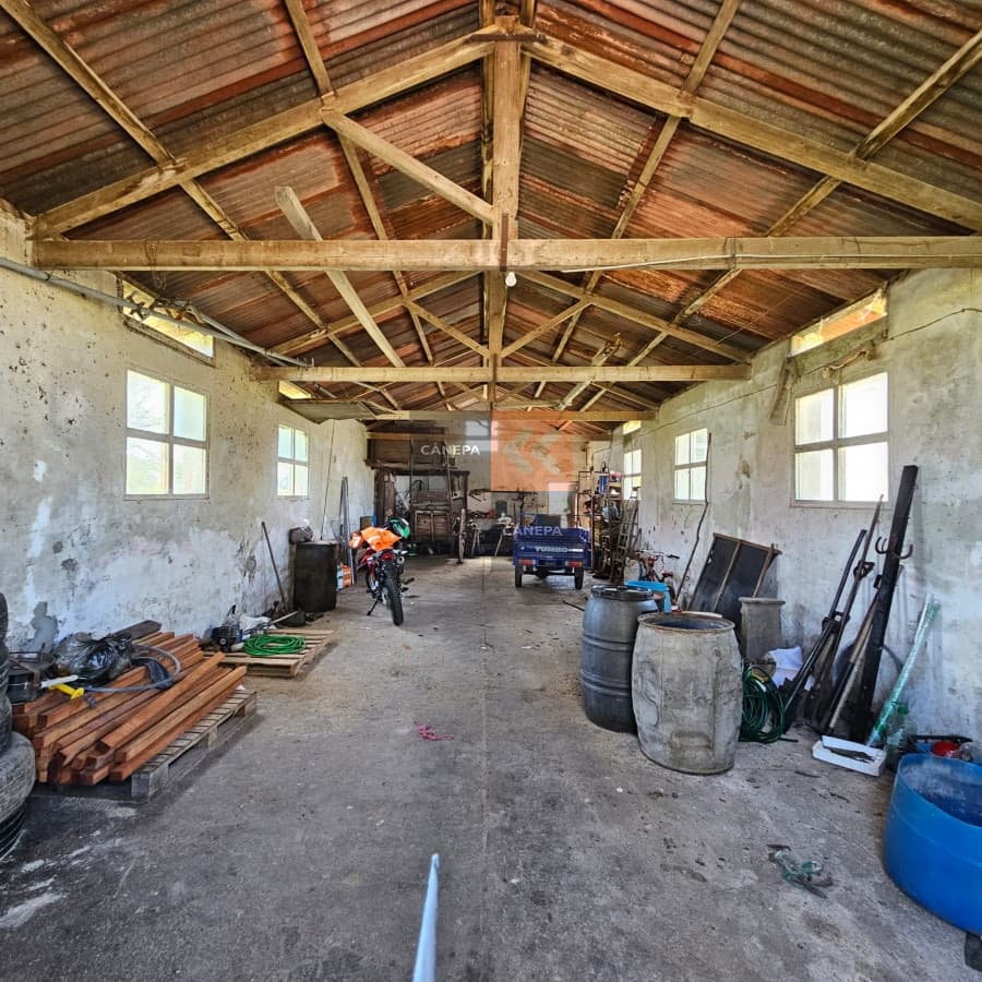 Excepcional campo Agrícola ganadero en San José