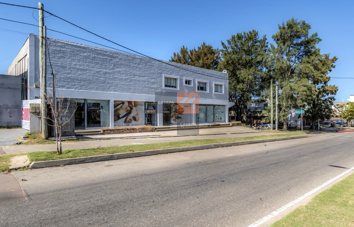 Locales comerciales sobre Wilson Ferreira Aldunate