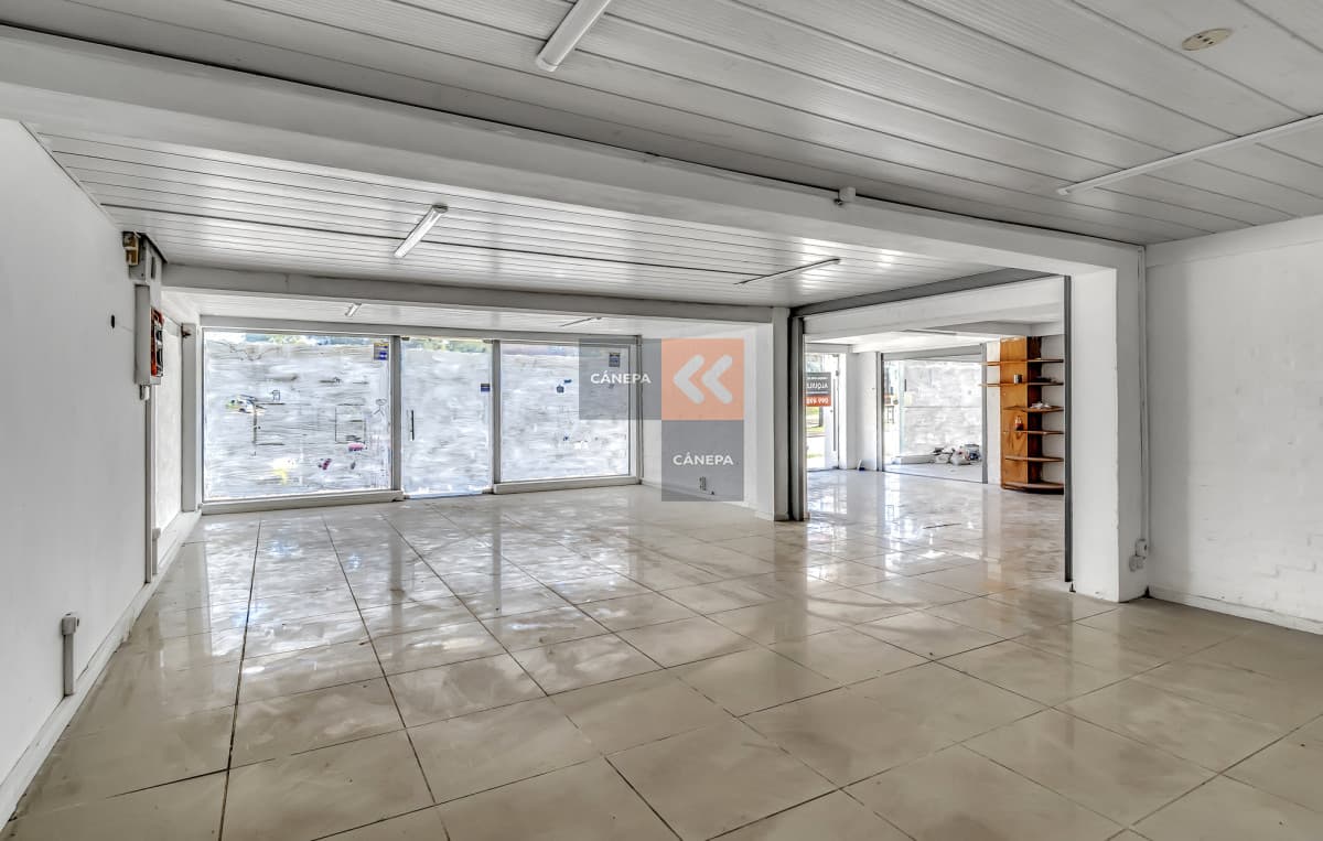 Locales comerciales sobre Wilson Ferreira Aldunate