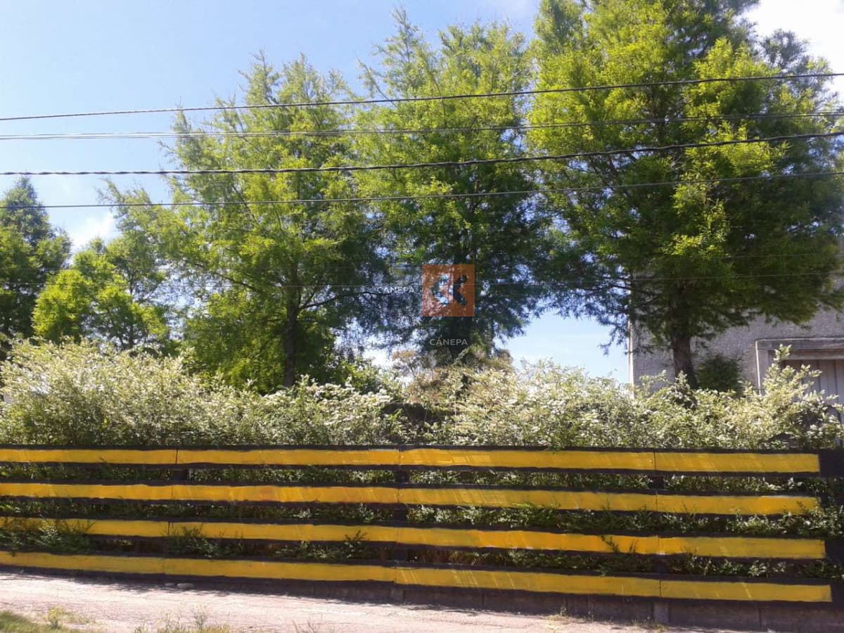 Gran local con posibilidad de anexar predio lindero en Malvin