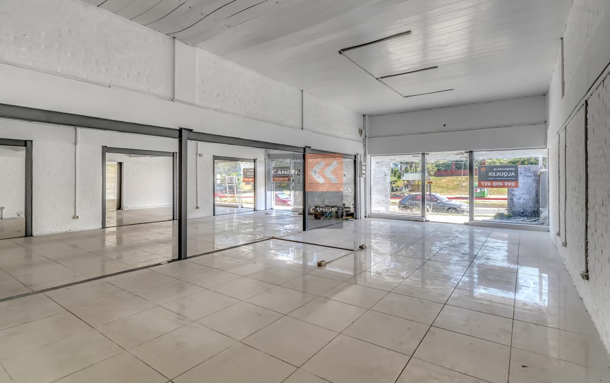 Locales comerciales sobre Wilson Ferreira Aldunate