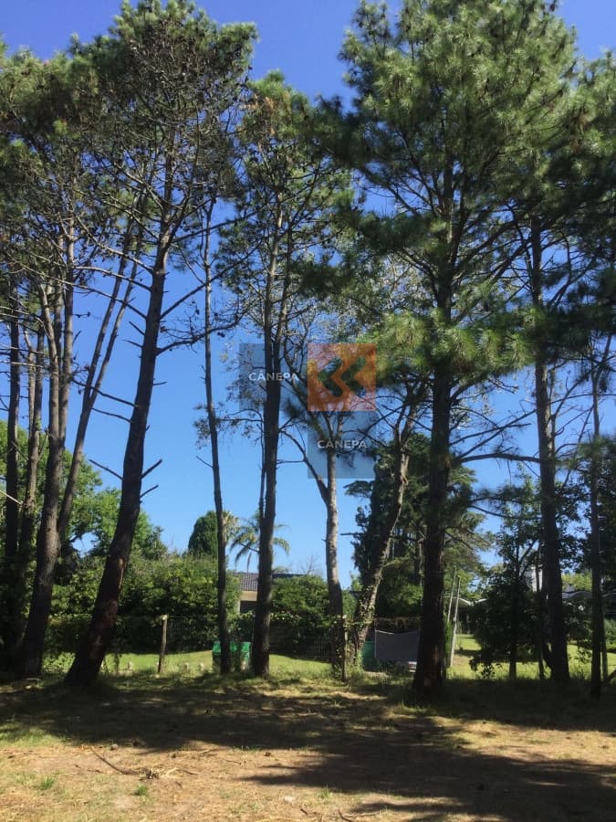 Terreno en zona Golf