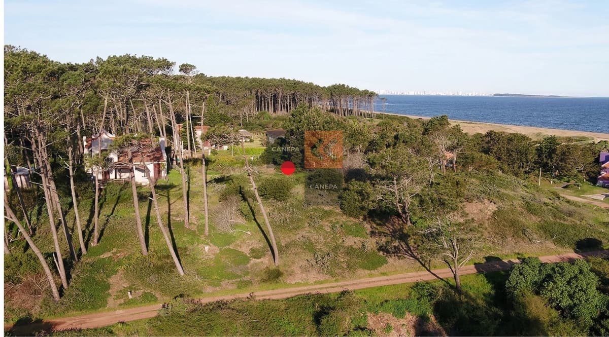Terreno con altitud para edificio