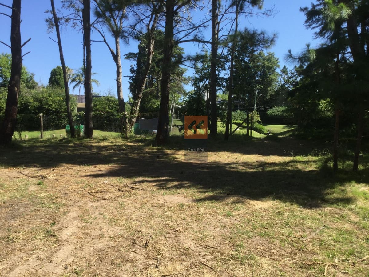 Terreno en zona Golf