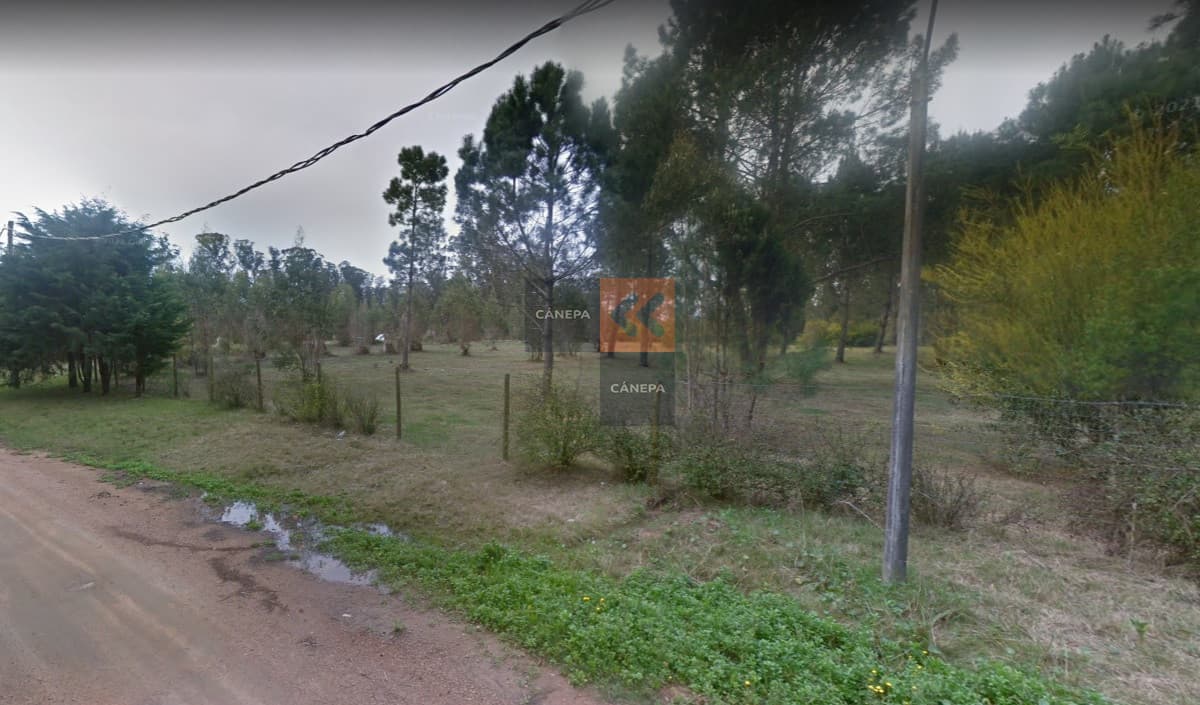 Terreno en zona de gran desarrollo