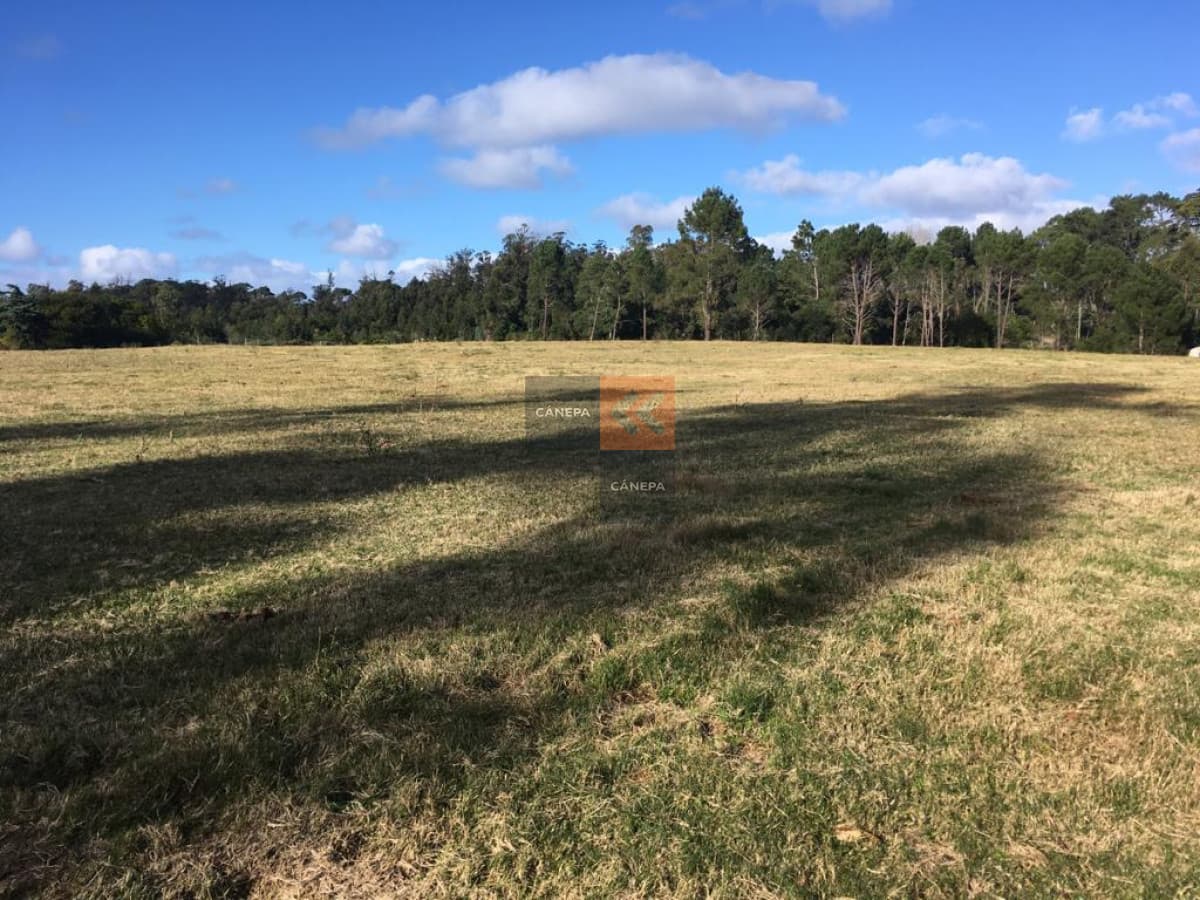 Terreno en zona de gran desarrollo