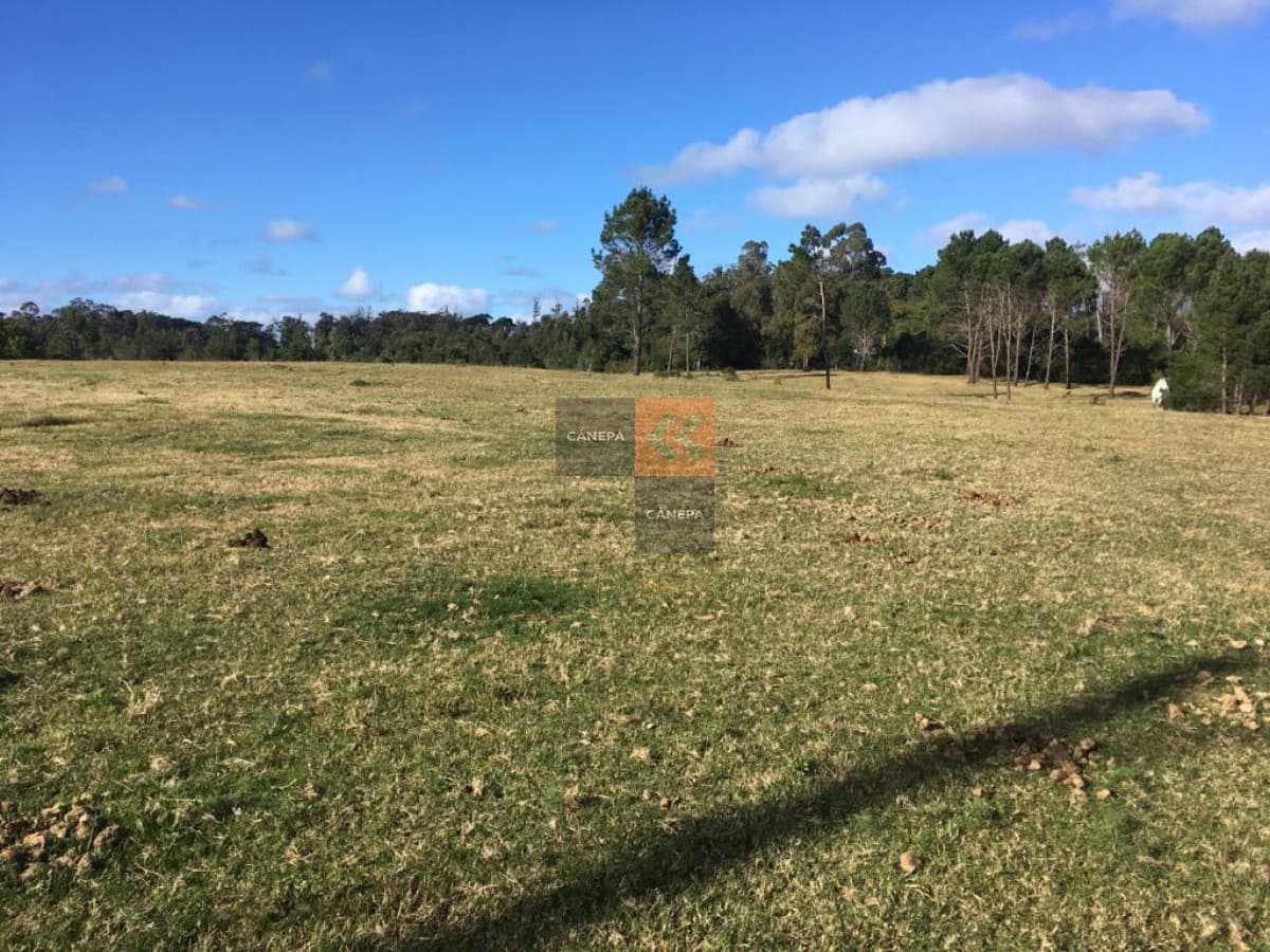 Terreno en zona de gran desarrollo