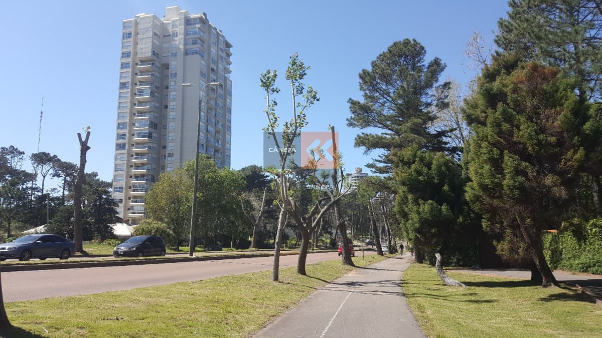 Terreno para construir Edificio en esquina estrategica sobre Roosevelt , cerca del centros comerciales