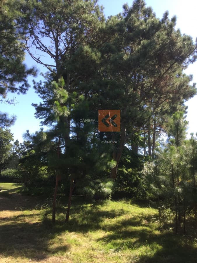 Terreno en zona Golf