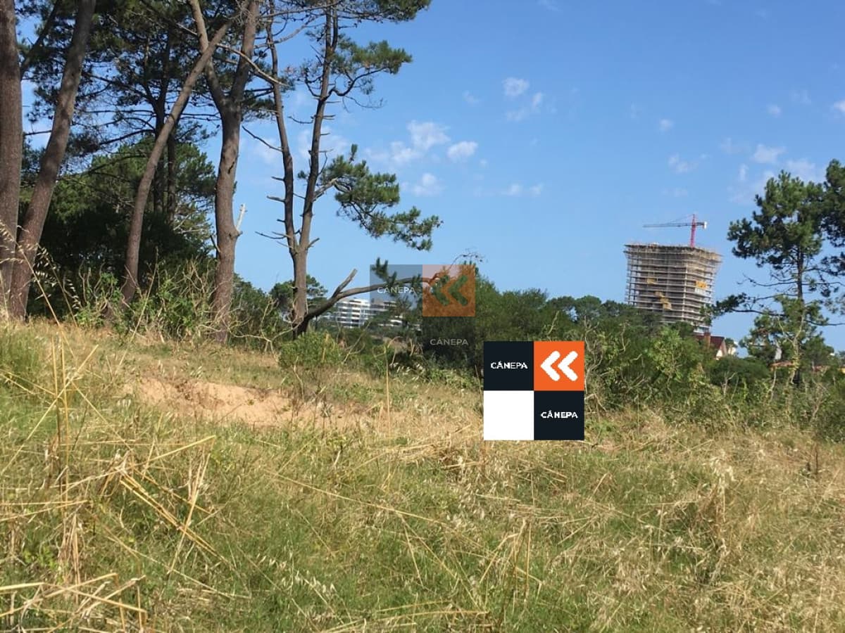 Terreno apto para Edificio de 4 pisos