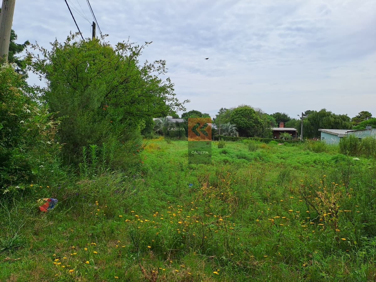 Terreno en un barrio muy agradable rodeado de vegetación