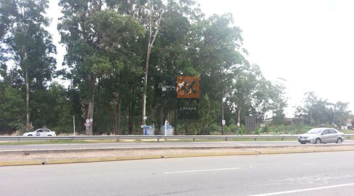 Sobre Ruta Interbalnearia en la entrada de Punta del Este