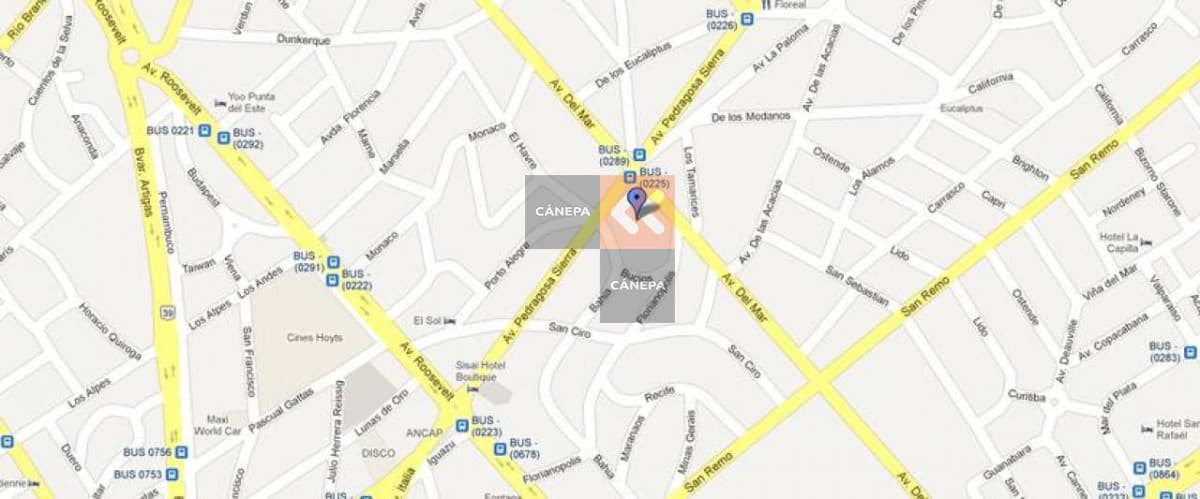 Opcion para proyecto CONSULTE