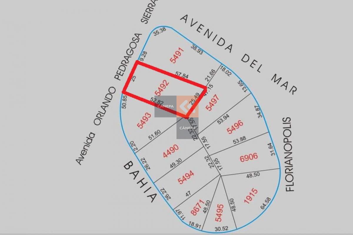 Opcion para proyecto CONSULTE