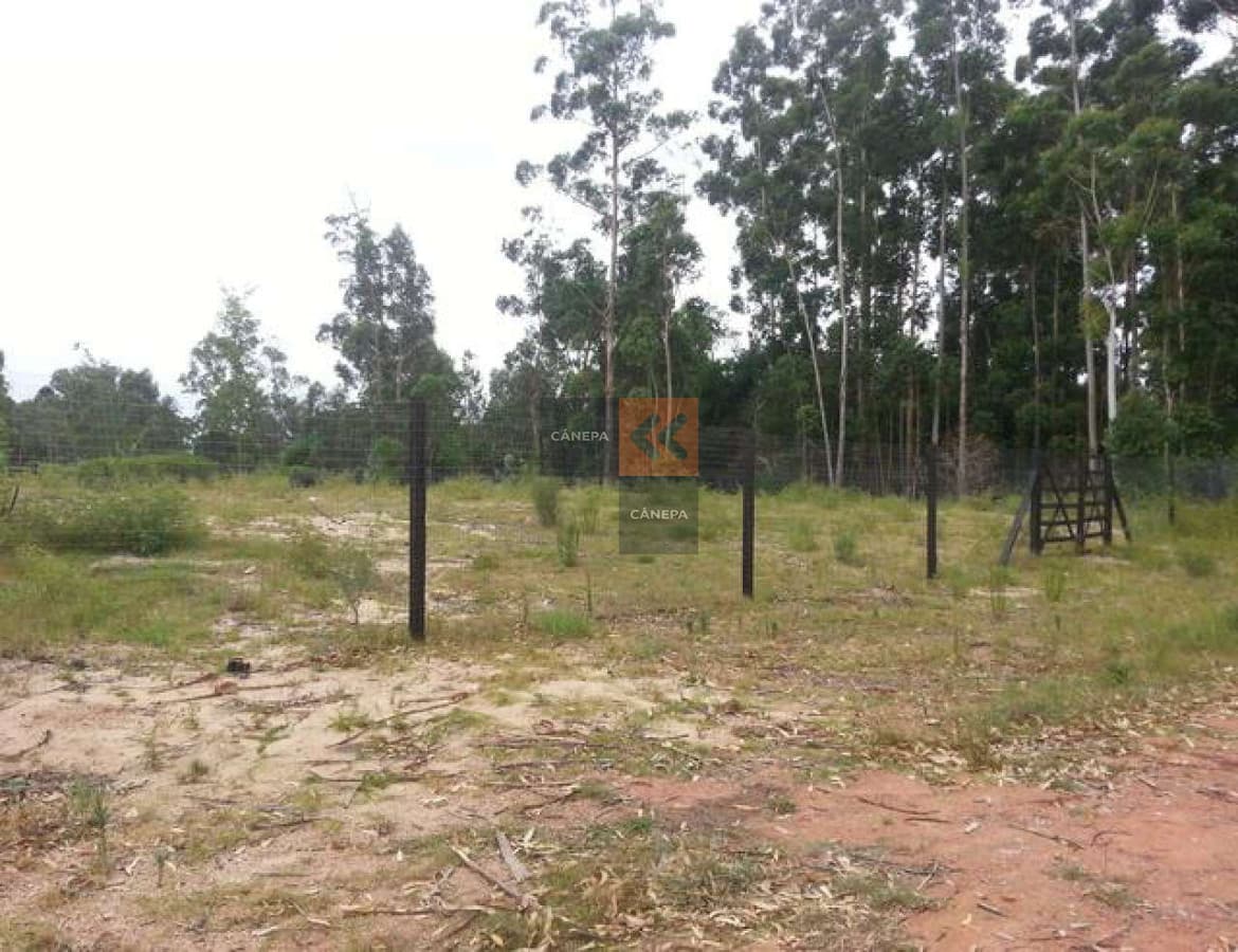 Terreno apto para pb, y 4 pisos, consulte