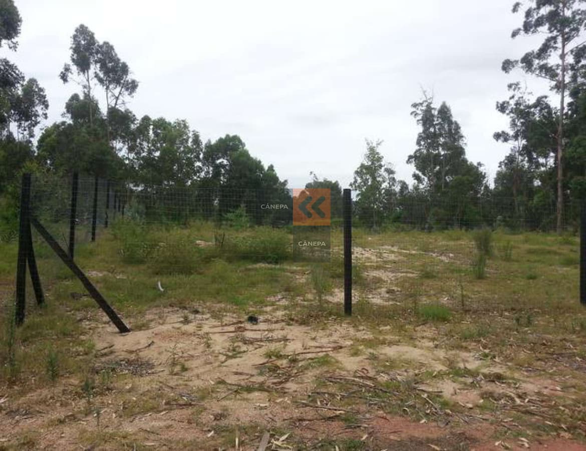 Terreno apto para pb, y 4 pisos, consulte