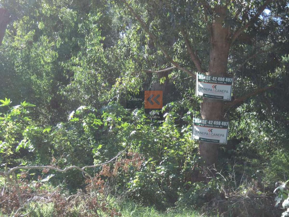 Buen terreno , a metros del Club de Golf