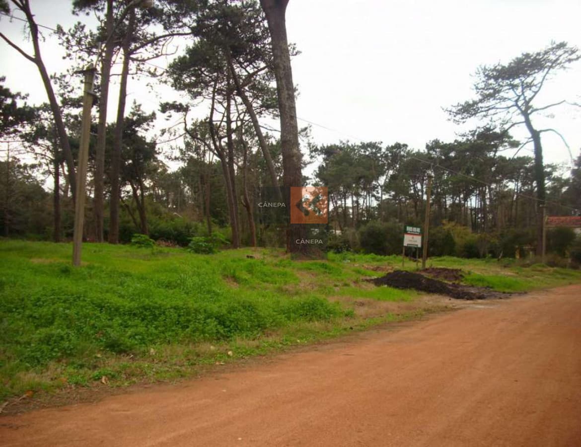 Terreno en zona del Golf