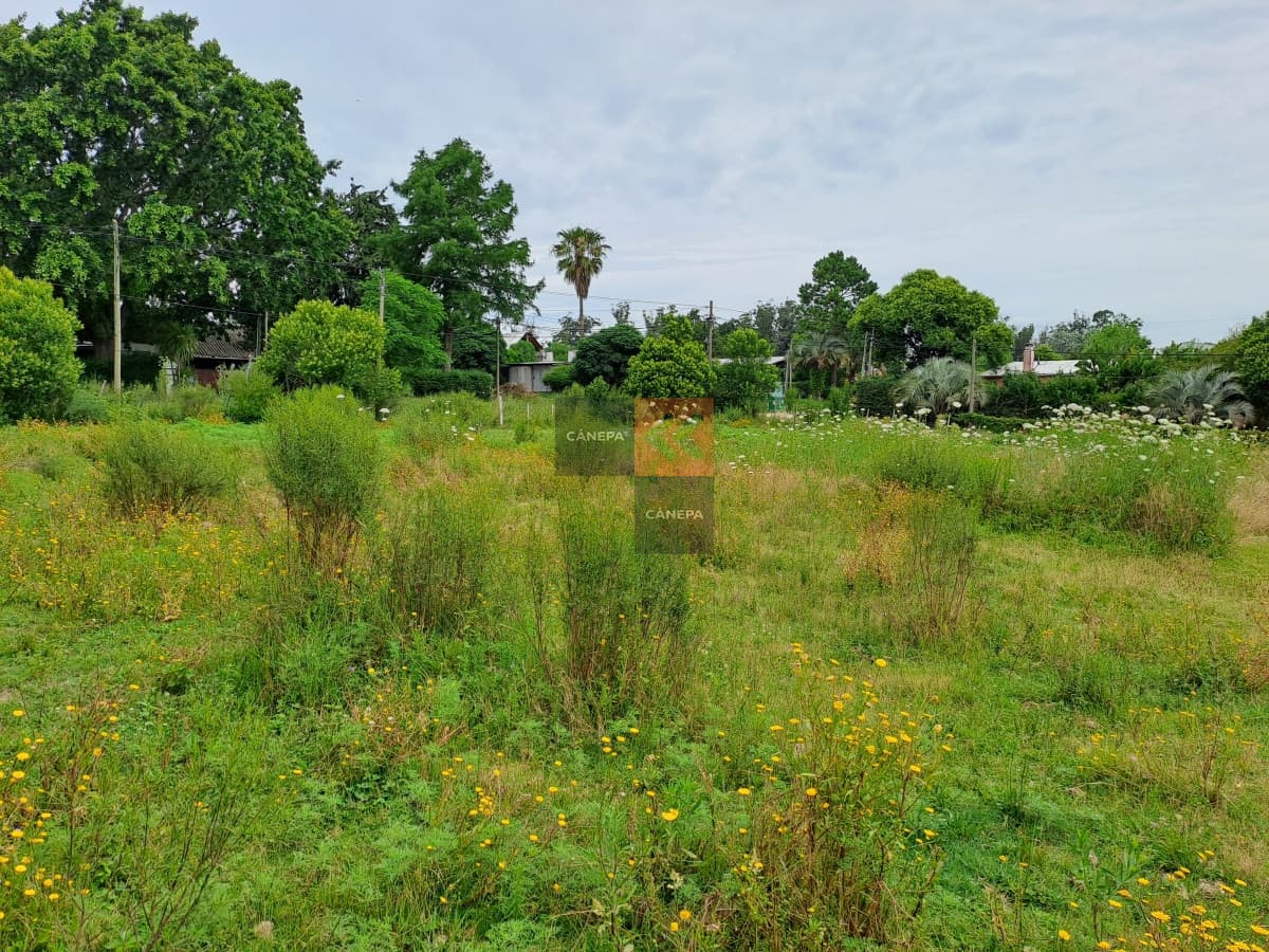 Terreno en un barrio muy agradable rodeado de vegetación