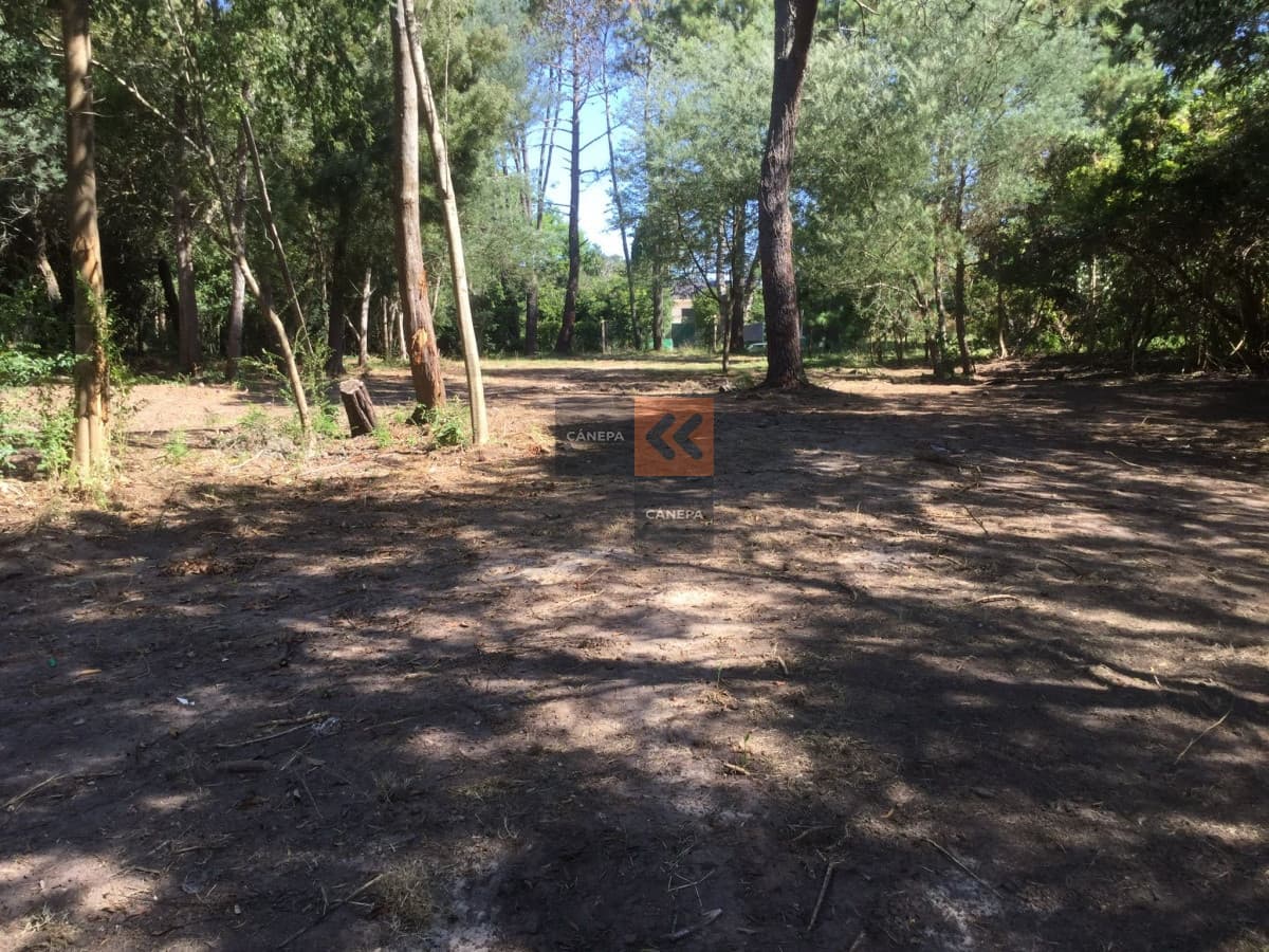 Terreno en zona Golf