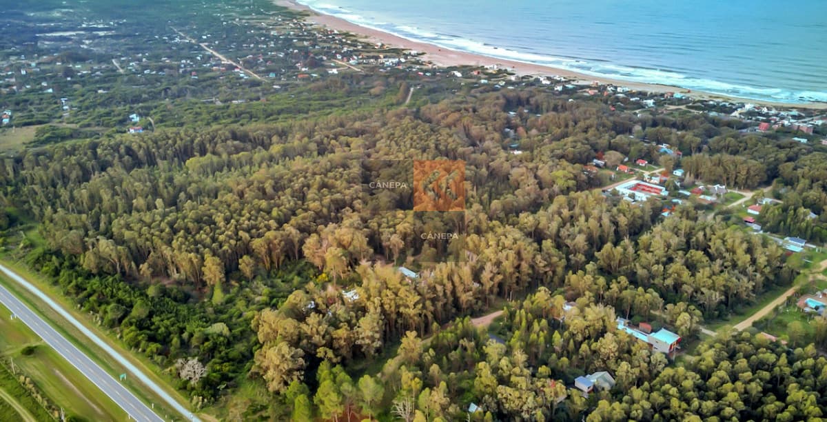 Terreno  de 1.5 has en la Pedrera, para desarrollo inmobiliario