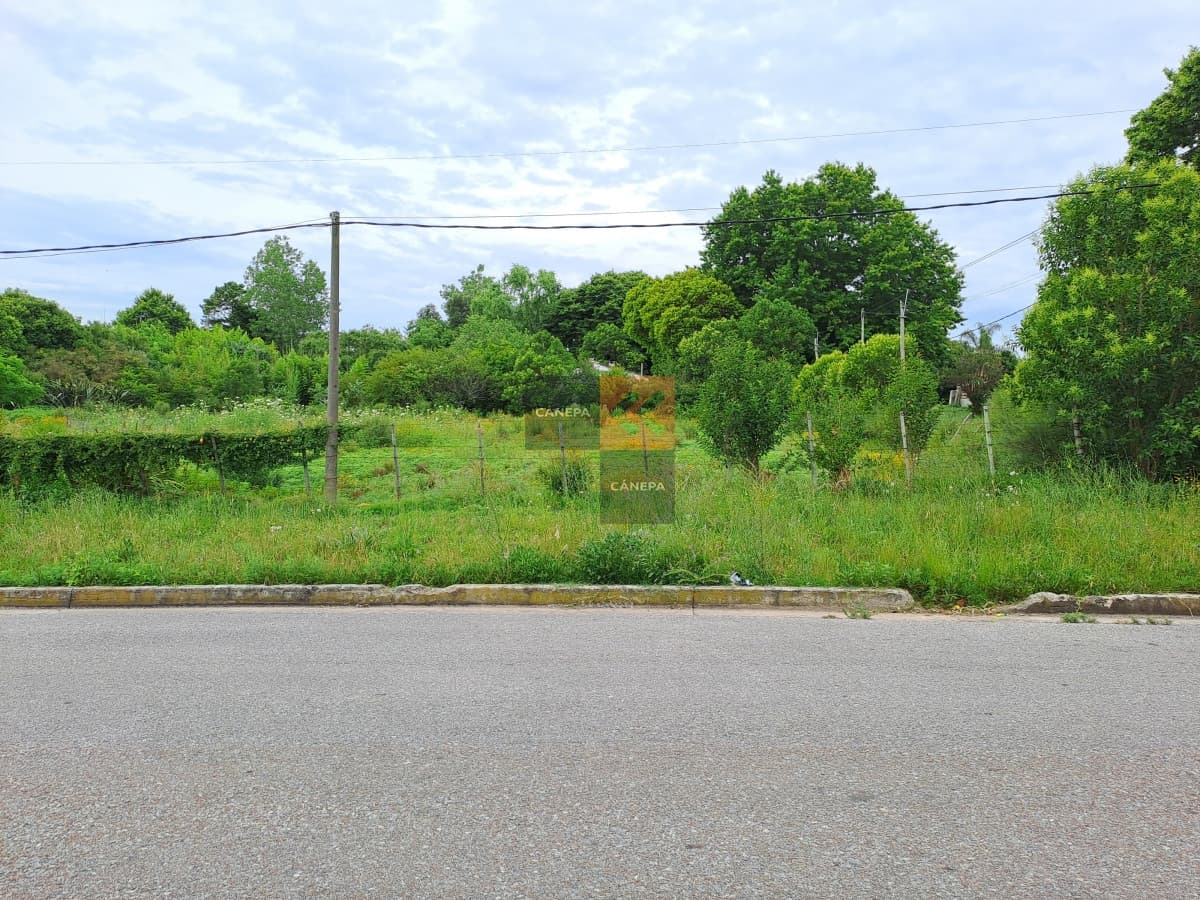 Terreno en un barrio muy agradable rodeado de vegetación