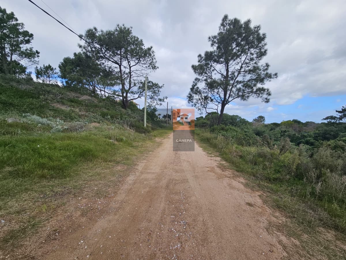 Terreno con altitud para edificio