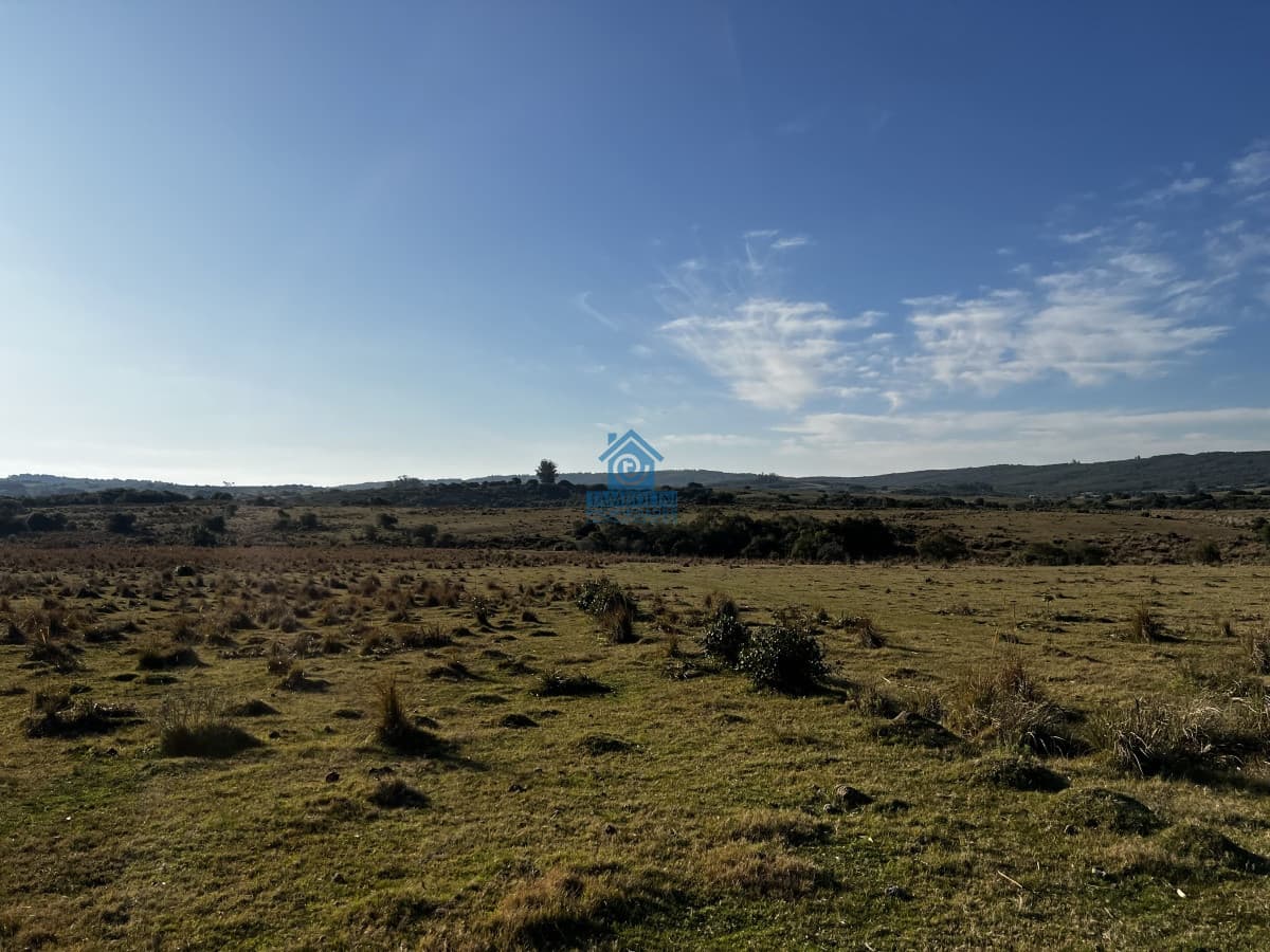 Chacra ID.93 - Chacra en Garzón a 5 kmts del Pueblo y a 30 kmts de José Ignacio