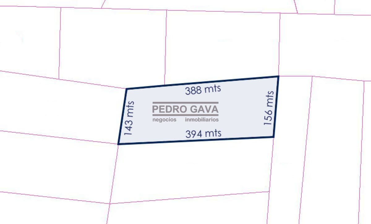 Chacra ID. 160