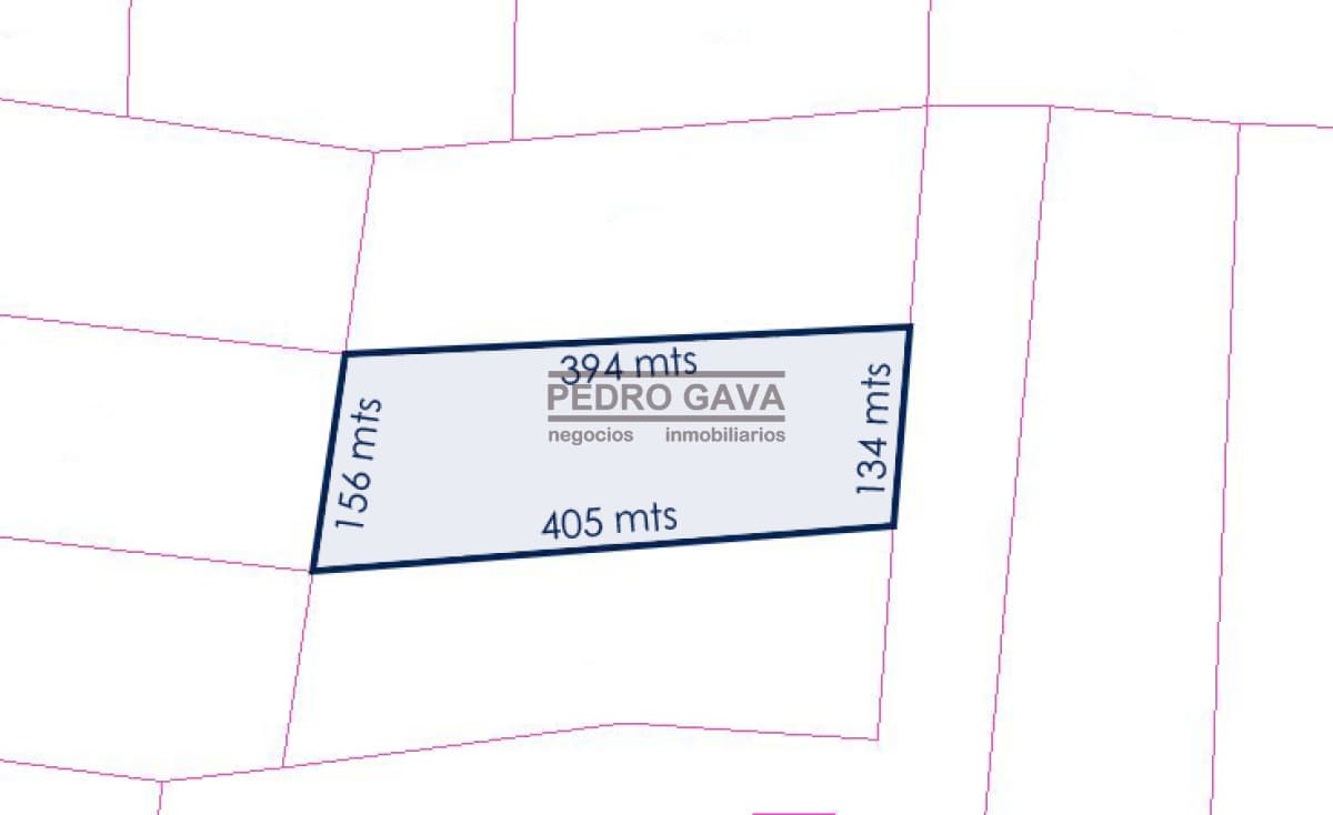 Chacra ID. 161