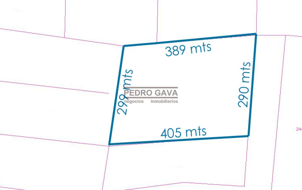 Chacra ID. 98