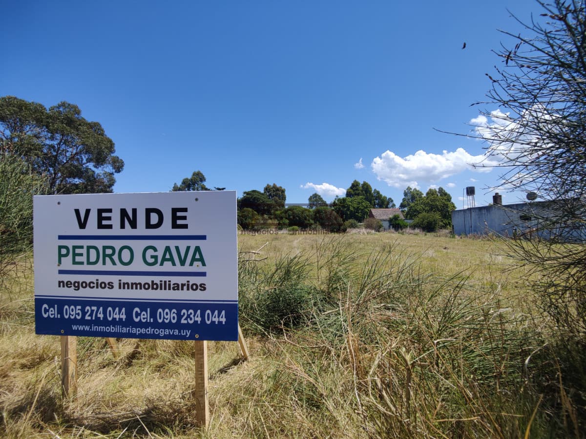Terreno ID. 342