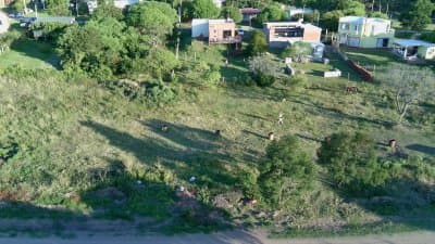 Terreno ID. 381