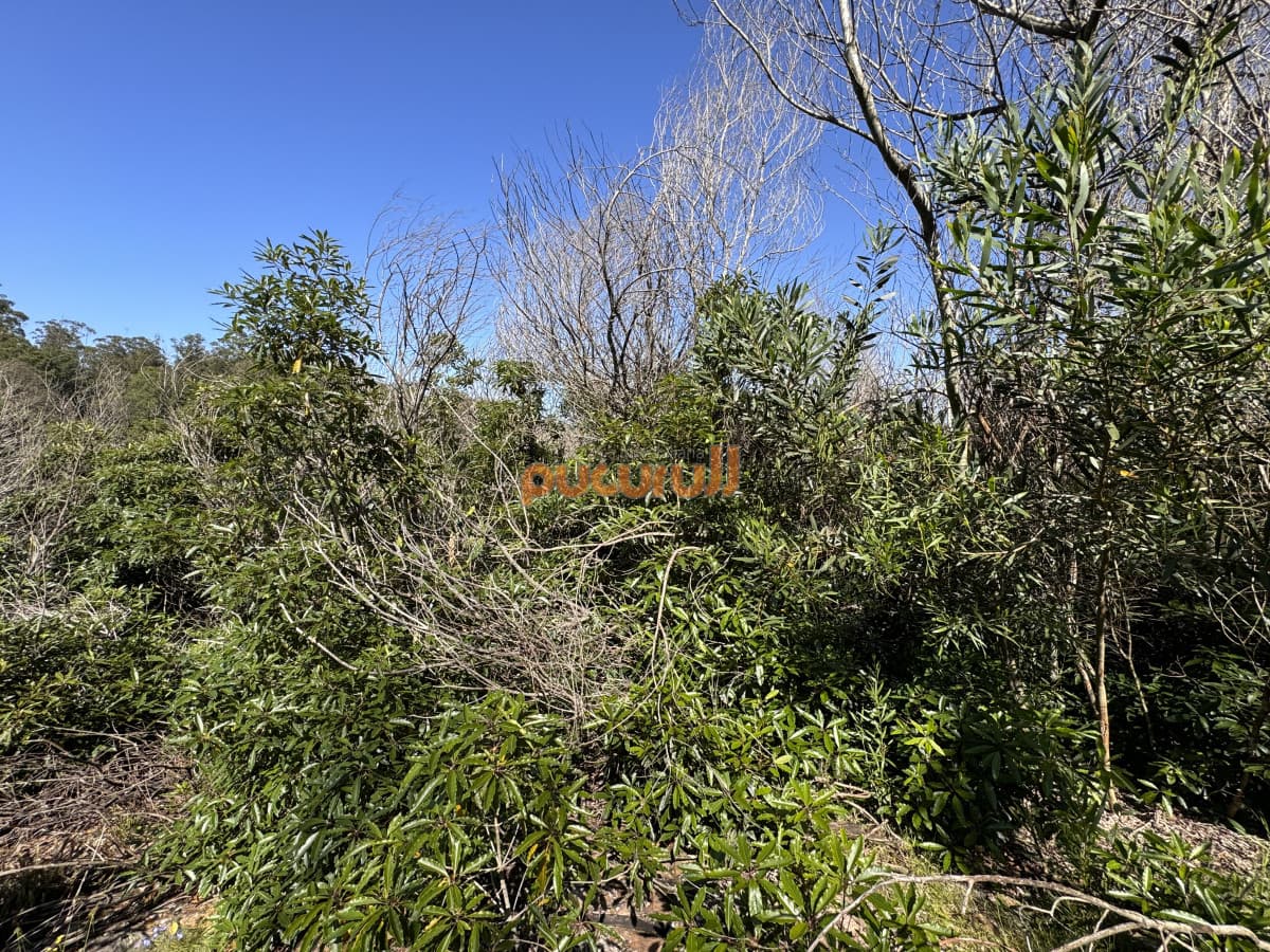 Venta terreno Las Cumbres Punta Ballena Punta del Este