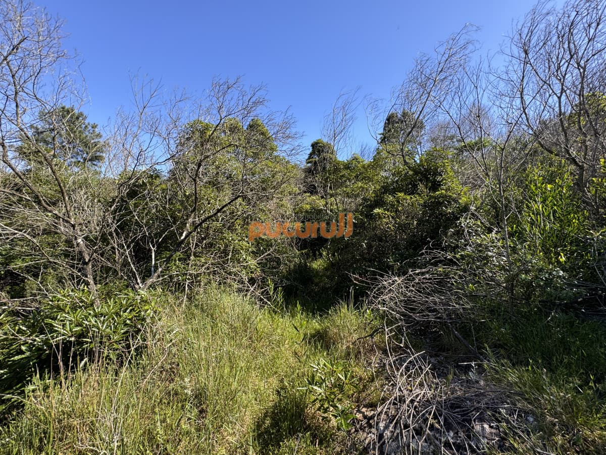 Venta terreno Las Cumbres Punta Ballena Punta del Este