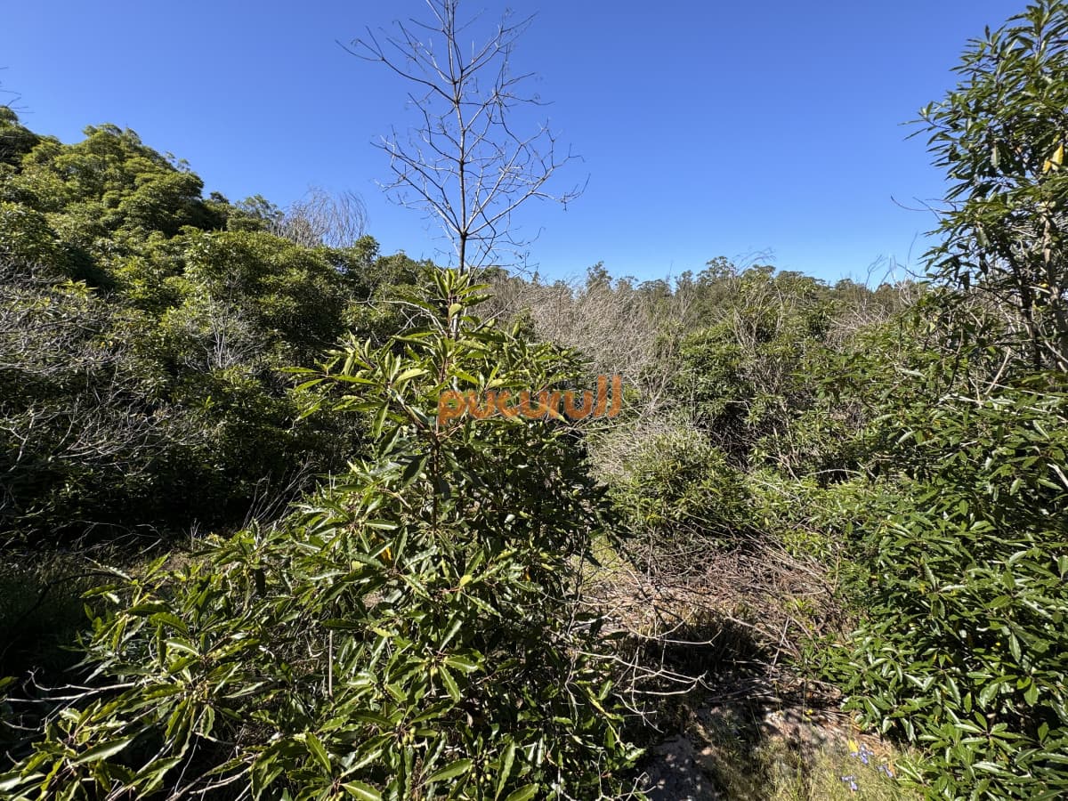 Venta terreno Las Cumbres Punta Ballena Punta del Este